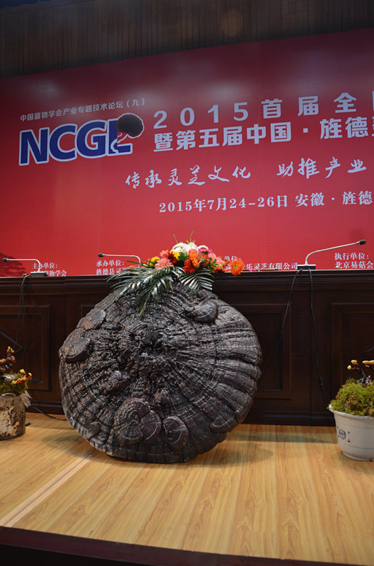 菇新灵芝参加2015年灵芝峰会
