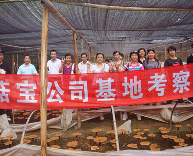 菇新灵芝基地考察团