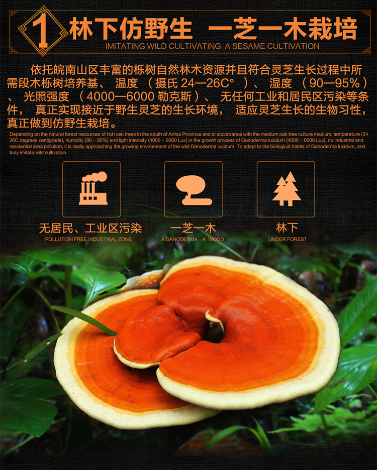 菇新破壁灵芝孢子粉颗粒30克装 菇新破壁灵芝孢子粉颗粒30克装