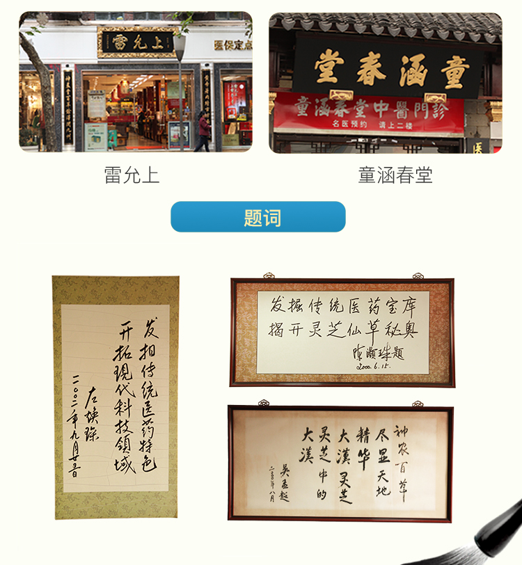 大汉灵芝菌丝体胶囊 大汉灵芝菌丝体胶囊