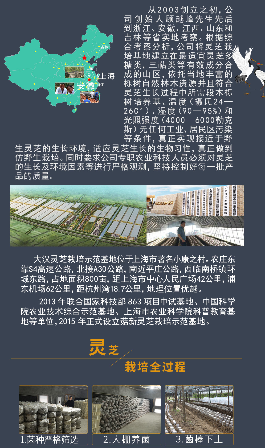 大汉灵芝企业介绍4