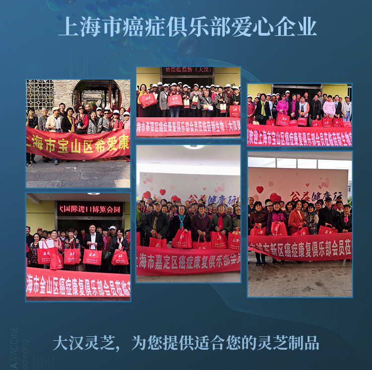 大汉宝芝 破壁灵芝孢子粉胶囊 大汉宝芝 破壁灵芝孢子粉胶囊