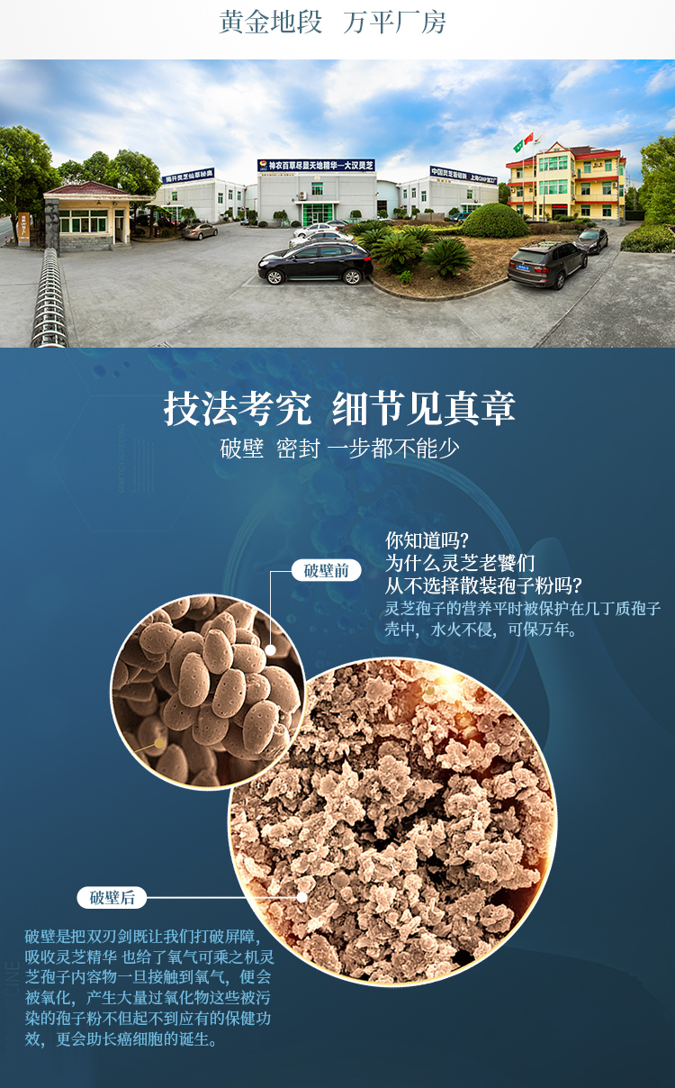 大汉宝芝 破壁灵芝孢子粉胶囊 大汉宝芝 破壁灵芝孢子粉胶囊